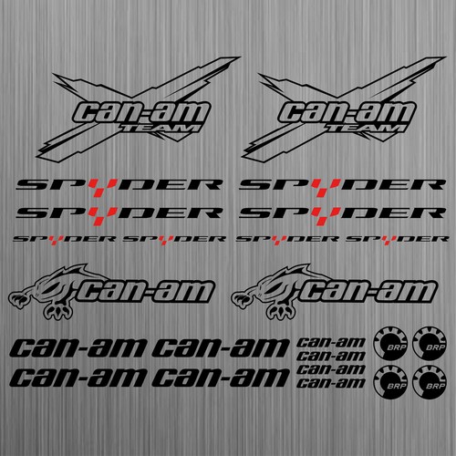 Pour can canam team - can-am, brp